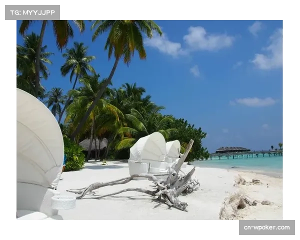 菲律宾队桑德罗雷耶斯1传1射助球队4比1战胜马尔代夫